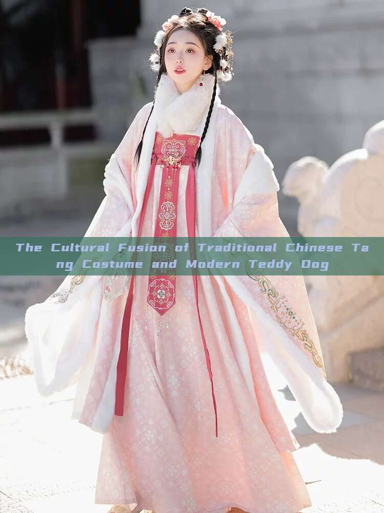 The Cultural Fusion of Traditional Chinese Tang Costume and Modern Teddy Dog The Cultural Fusion of Traditional Chinese Tang Costume and Modern Teddy Dog
