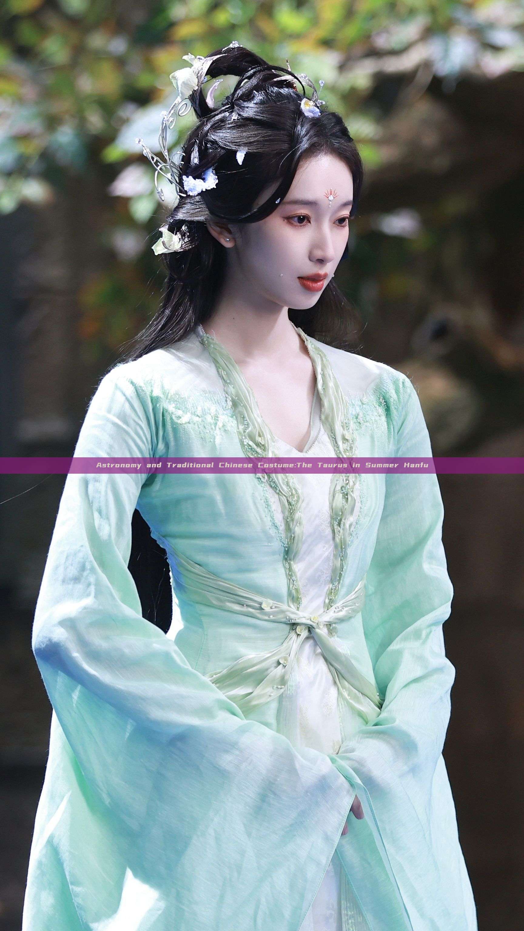 Astronomy and Traditional Chinese Costume:The Taurus in Summer Hanfu Astronomy and Traditional Chinese Costume:The Taurus in Summer Hanfu