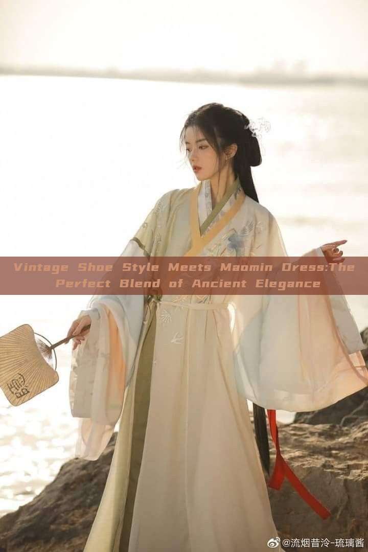 Vintage Shoe Style Meets Maomin Dress:The Perfect Blend of Ancient Elegance Vintage Shoe Style Meets Maomin Dress:The Perfect Blend of Ancient Elegance