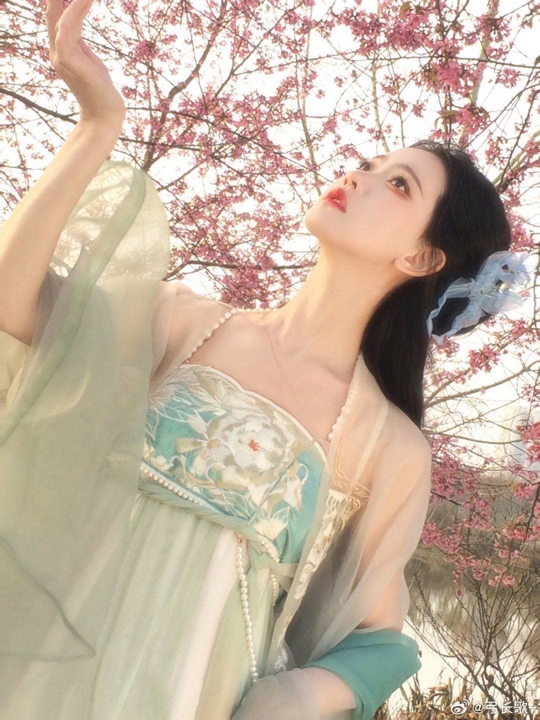 Flying Fish Costume:The Enchantment of Childrens Hanfu Chinese Traditional Clothing) Flying Fish Costume:The Enchantment of Childrens Hanfu Chinese Traditional Clothing)