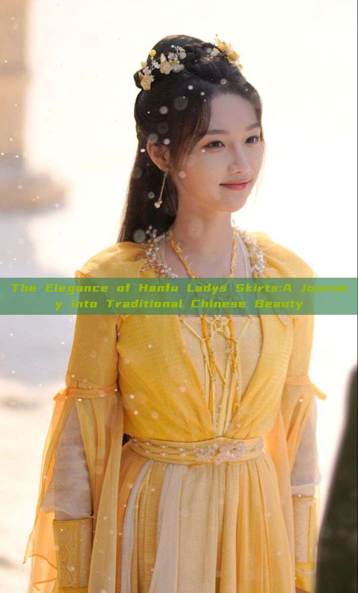 The Elegance of Hanfu Ladys Skirts:A Journey into Traditional Chinese Beauty The Elegance of Hanfu Ladys Skirts:A Journey into Traditional Chinese Beauty