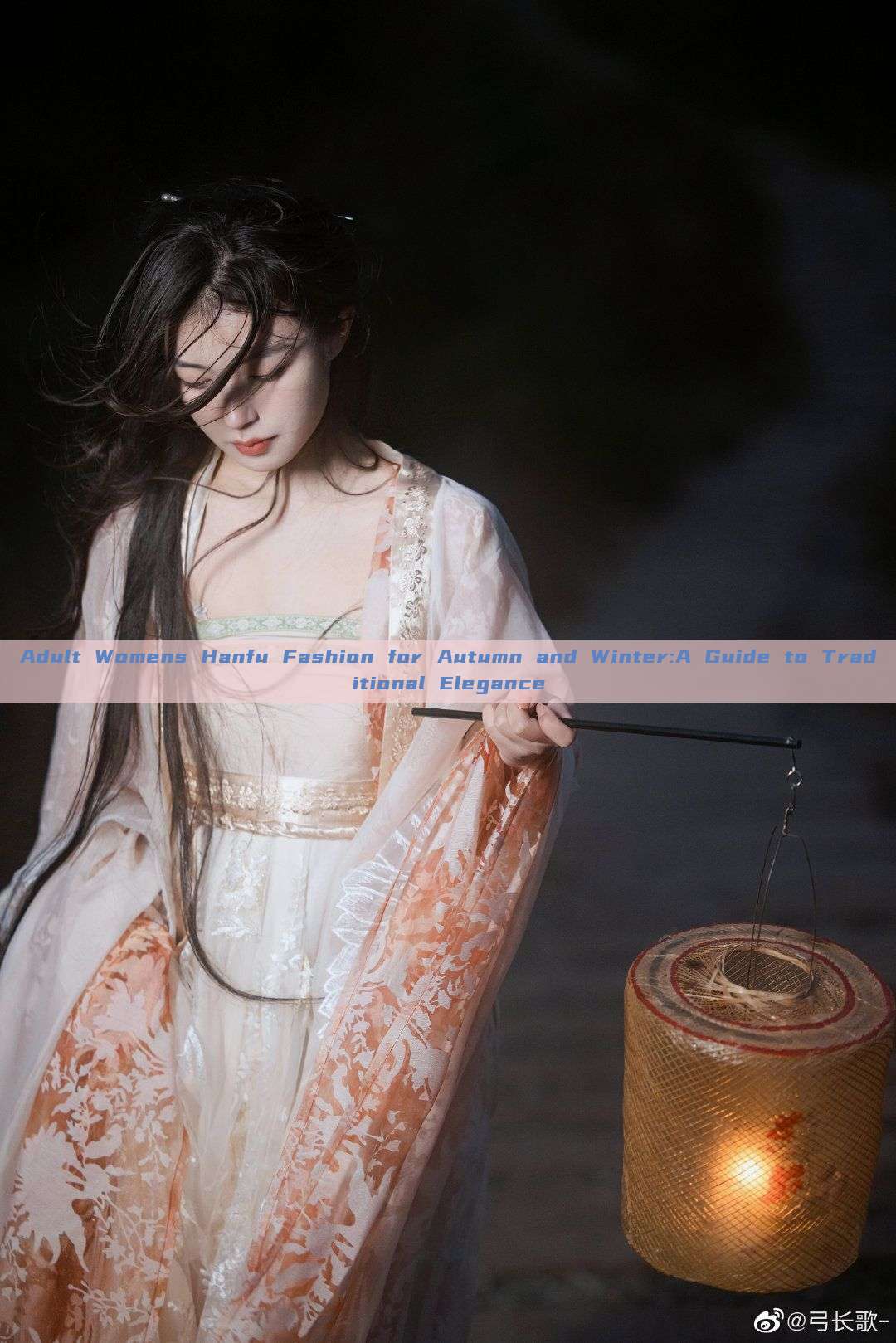 Adult Womens Hanfu Fashion for Autumn and Winter:A Guide to Traditional Elegance