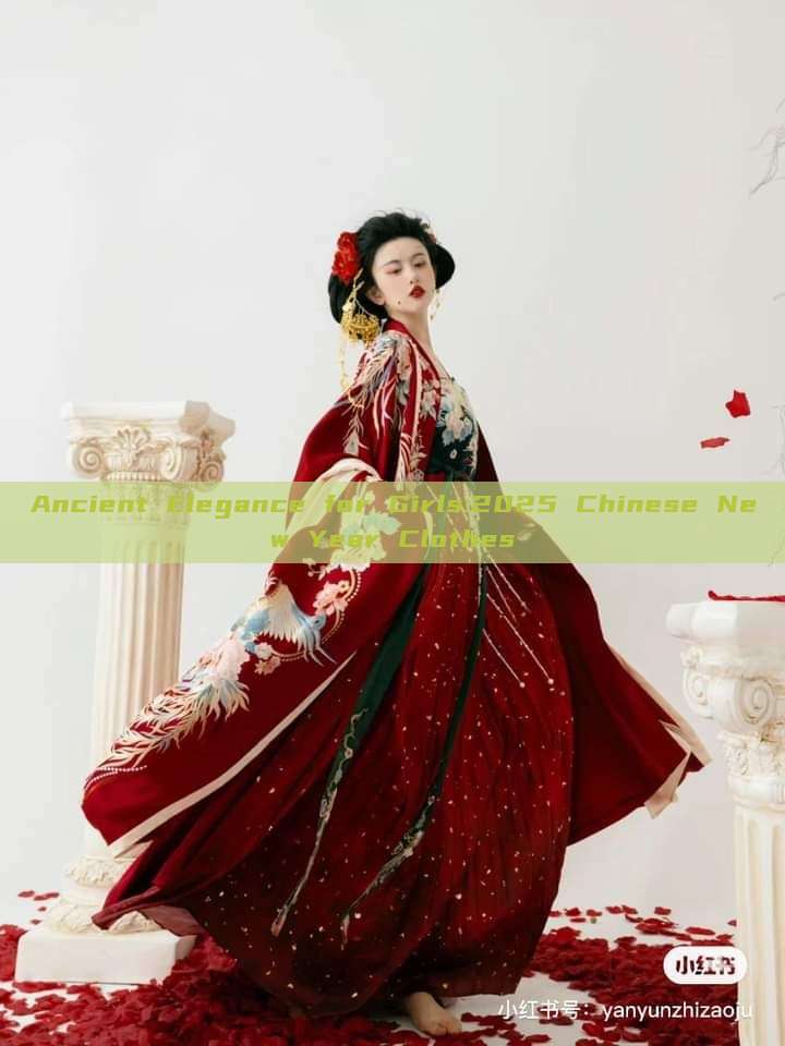 Ancient Elegance for Girls:2025 Chinese New Year Clothes Ancient Elegance for Girls:2025 Chinese New Year Clothes