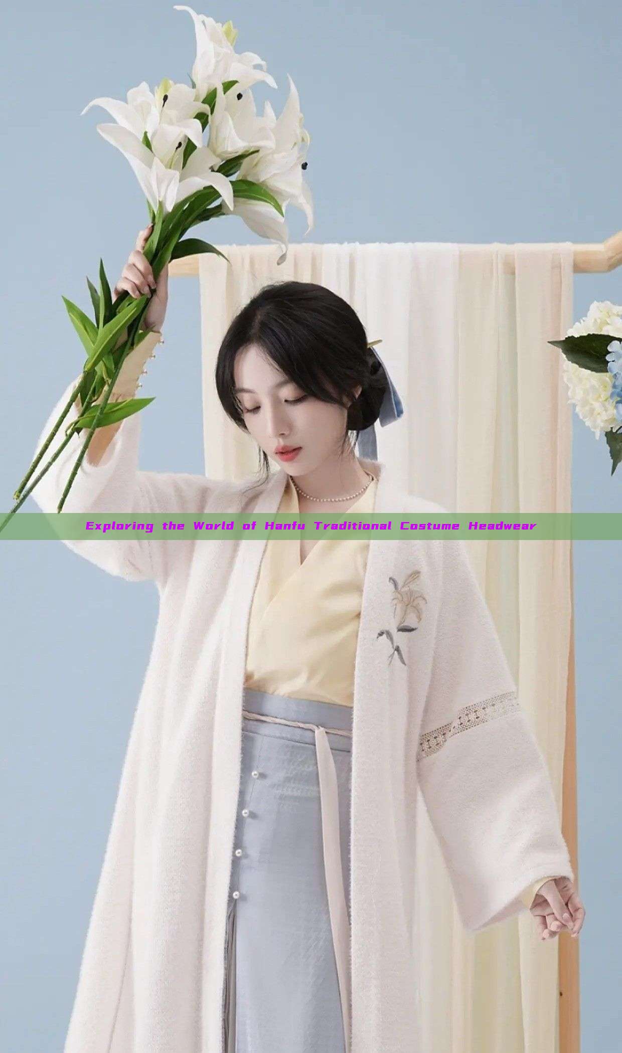 Exploring the World of Hanfu Traditional Costume Headwear Exploring the World of Hanfu Traditional Costume Headwear