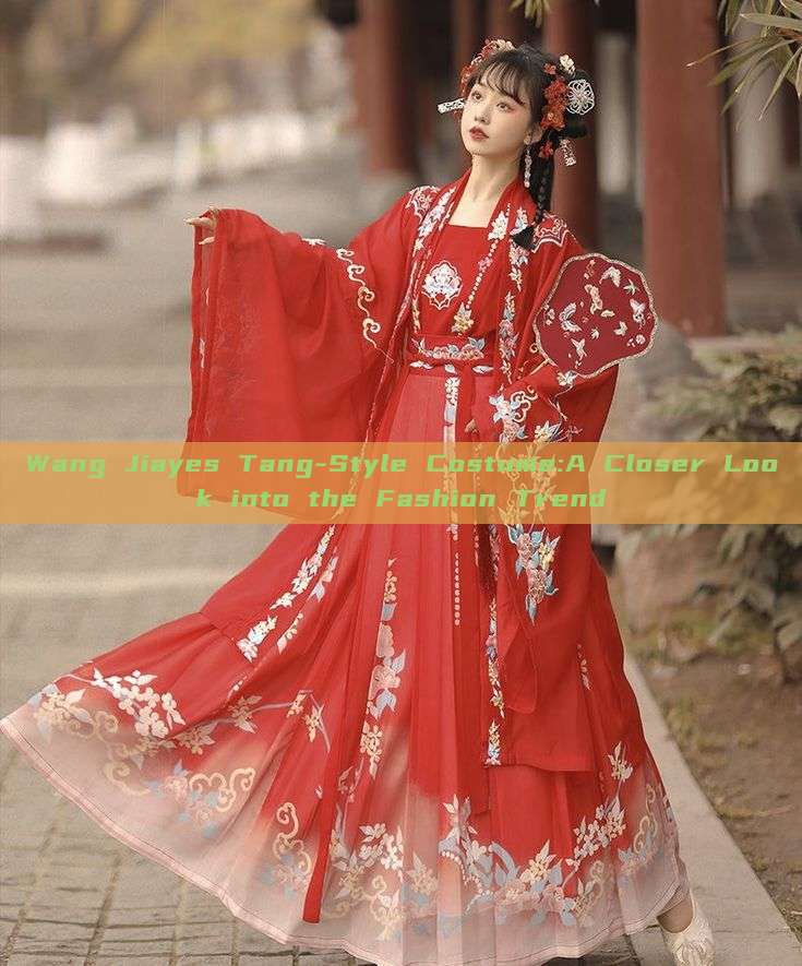 Wang Jiayes Tang-Style Costume:A Closer Look into the Fashion Trend