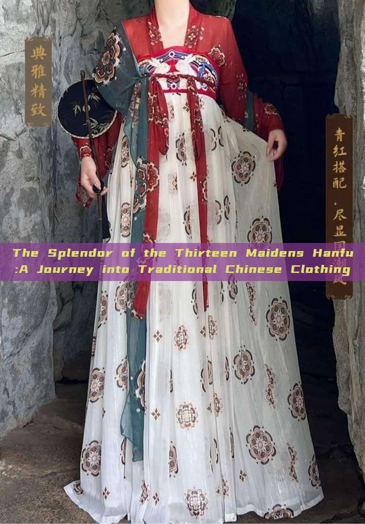 The Splendor of the Thirteen Maidens Hanfu:A Journey into Traditional Chinese Clothing