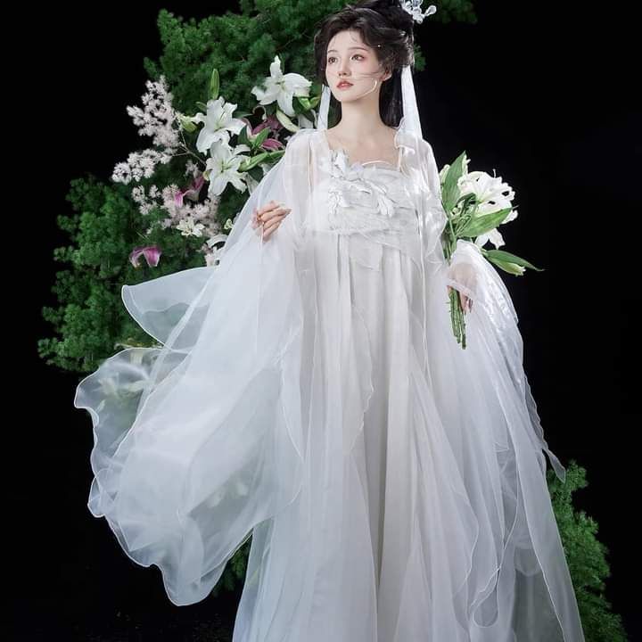 Elegant Lady Hanfu Jackets:A Journey Through Traditional Elegance Elegant Lady Hanfu Jackets:A Journey Through Traditional Elegance