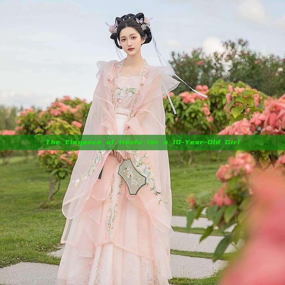 The Elegance of Hanfu for a 10-Year-Old Girl The Elegance of Hanfu for a 10-Year-Old Girl