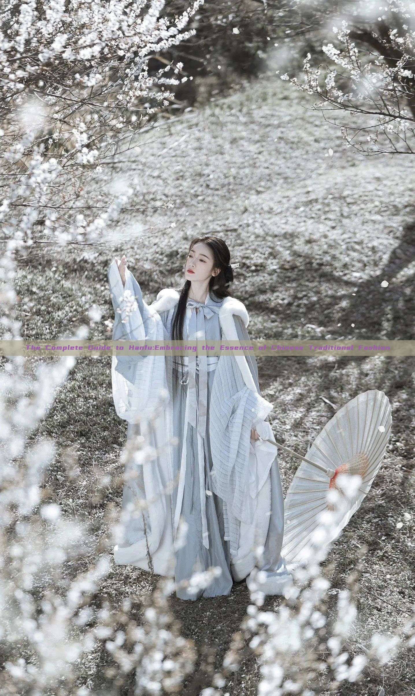 The Complete Guide to Hanfu:Embracing the Essence of Chinese Traditional Fashion The Complete Guide to Hanfu:Embracing the Essence of Chinese Traditional Fashion