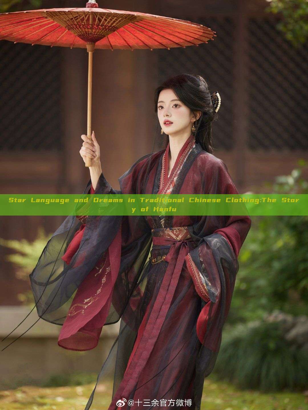 Star Language and Dreams in Traditional Chinese Clothing:The Story of Hanfu