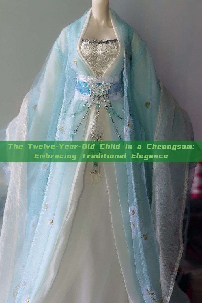 The Twelve-Year-Old Child in a Cheongsam:Embracing Traditional Elegance The Twelve-Year-Old Child in a Cheongsam:Embracing Traditional Elegance