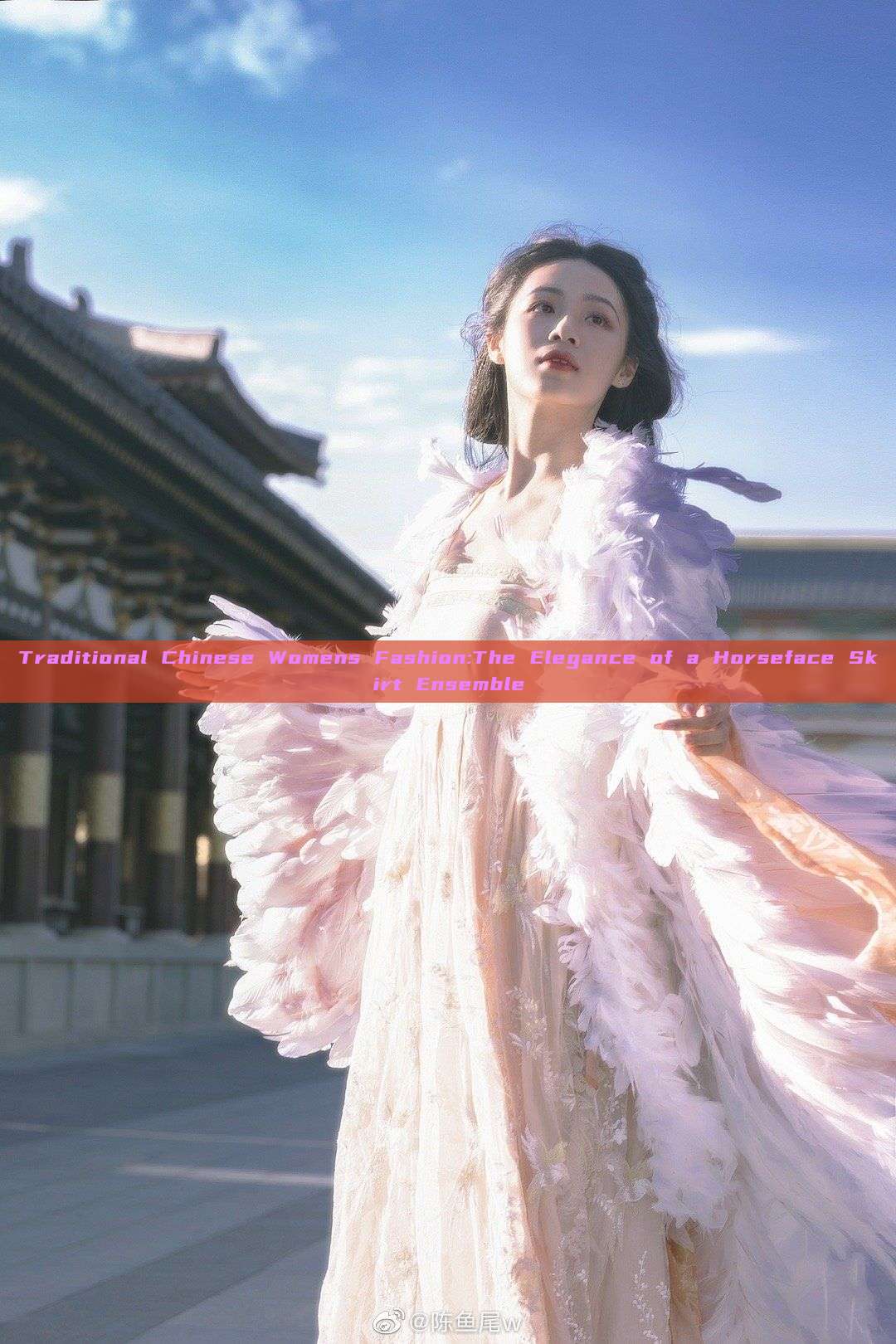 Traditional Chinese Womens Fashion:The Elegance of a Horseface Skirt Ensemble