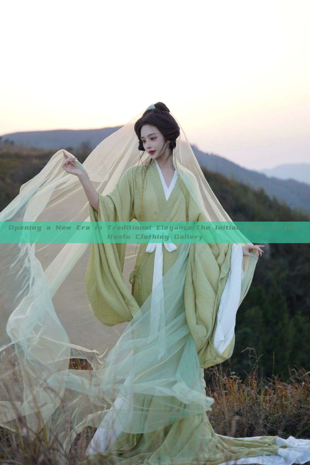 Opening a New Era in Traditional Elegance:The Initial Steps of the Hanfu Clothing Gallery Opening a New Era in Traditional Elegance:The Initial Steps of the Hanfu Clothing Gallery