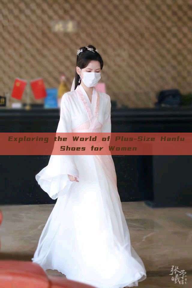 Exploring the World of Plus-Size Hanfu Shoes for Women Exploring the World of Plus-Size Hanfu Shoes for Women