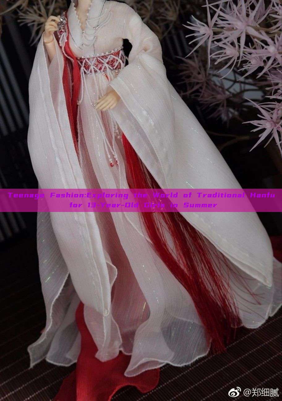 Teenage Fashion:Exploring the World of Traditional Hanfu for 13-Year-Old Girls in Summer