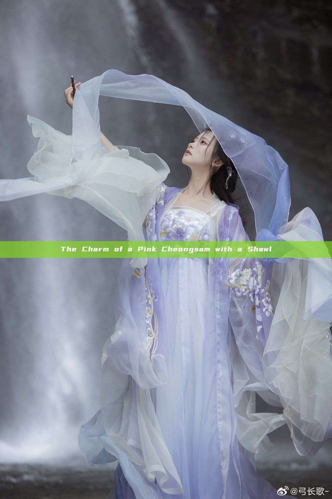 The Charm of a Pink Cheongsam with a Shawl The Charm of a Pink Cheongsam with a Shawl
