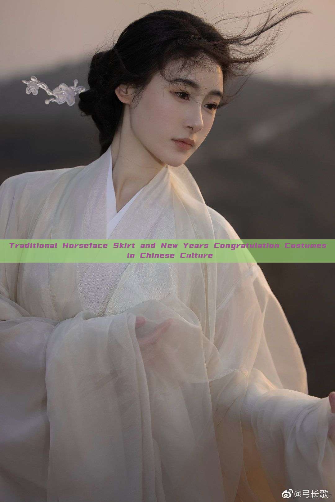 Traditional Horseface Skirt and New Years Congratulation Costumes in Chinese Culture