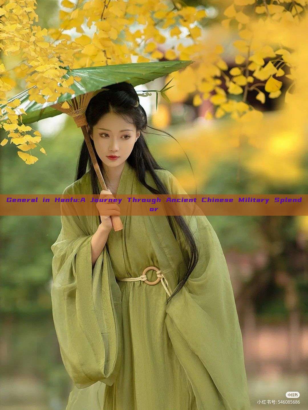 General in Hanfu:A Journey Through Ancient Chinese Military Splendor
