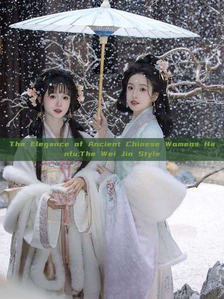 The Elegance of Ancient Chinese Womens Hanfu:The Wei Jin Style The Elegance of Ancient Chinese Womens Hanfu:The Wei Jin Style