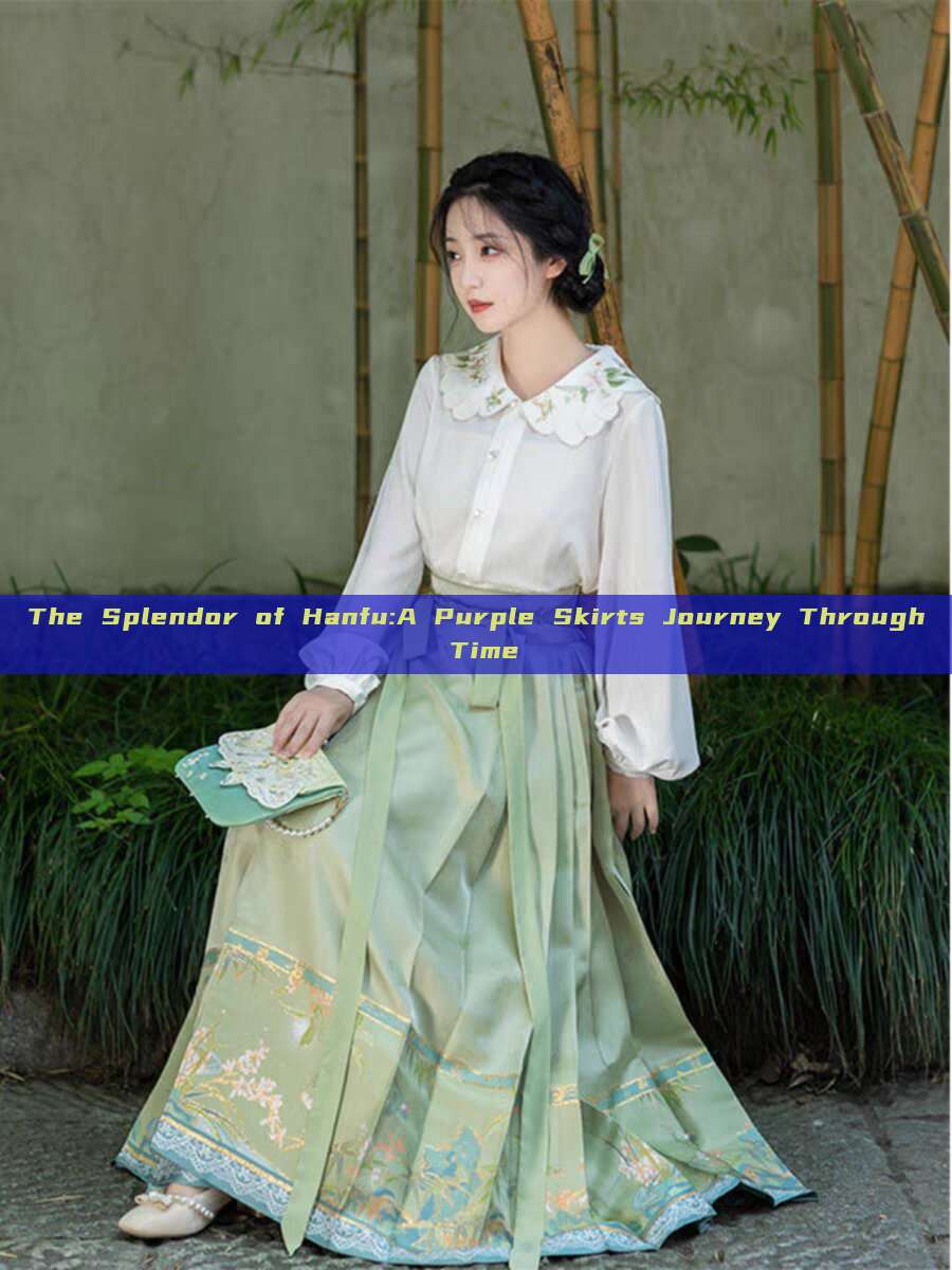 The Splendor of Hanfu:A Purple Skirts Journey Through Time The Splendor of Hanfu:A Purple Skirts Journey Through Time