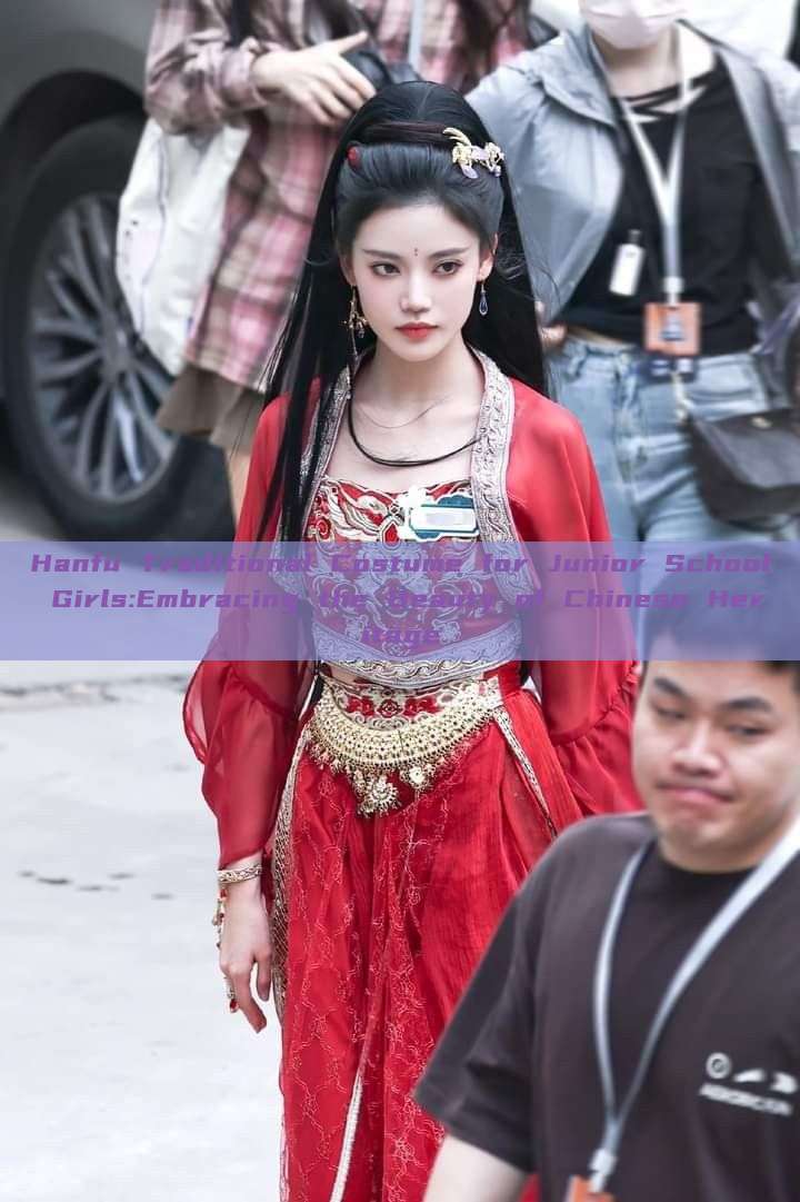 Hanfu Traditional Costume for Junior School Girls:Embracing the Beauty of Chinese Heritage Hanfu Traditional Costume for Junior School Girls:Embracing the Beauty of Chinese Heritage