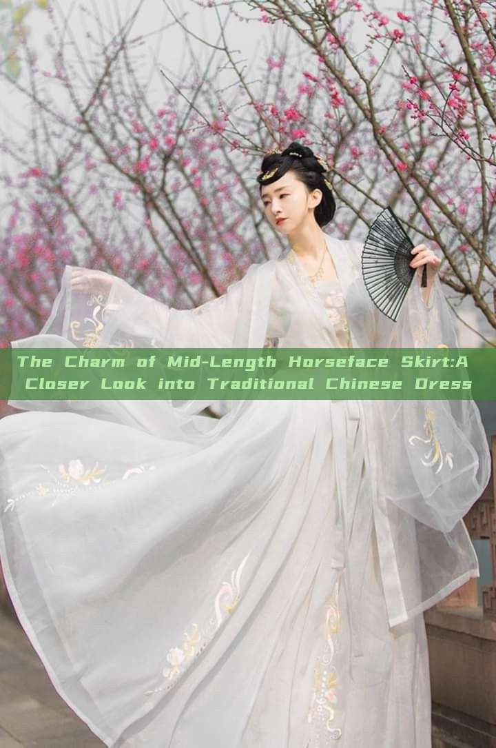 The Charm of Mid-Length Horseface Skirt:A Closer Look into Traditional Chinese Dress