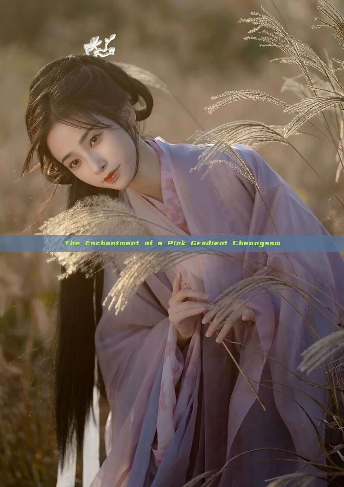 The Enchantment of a Pink Gradient Cheongsam