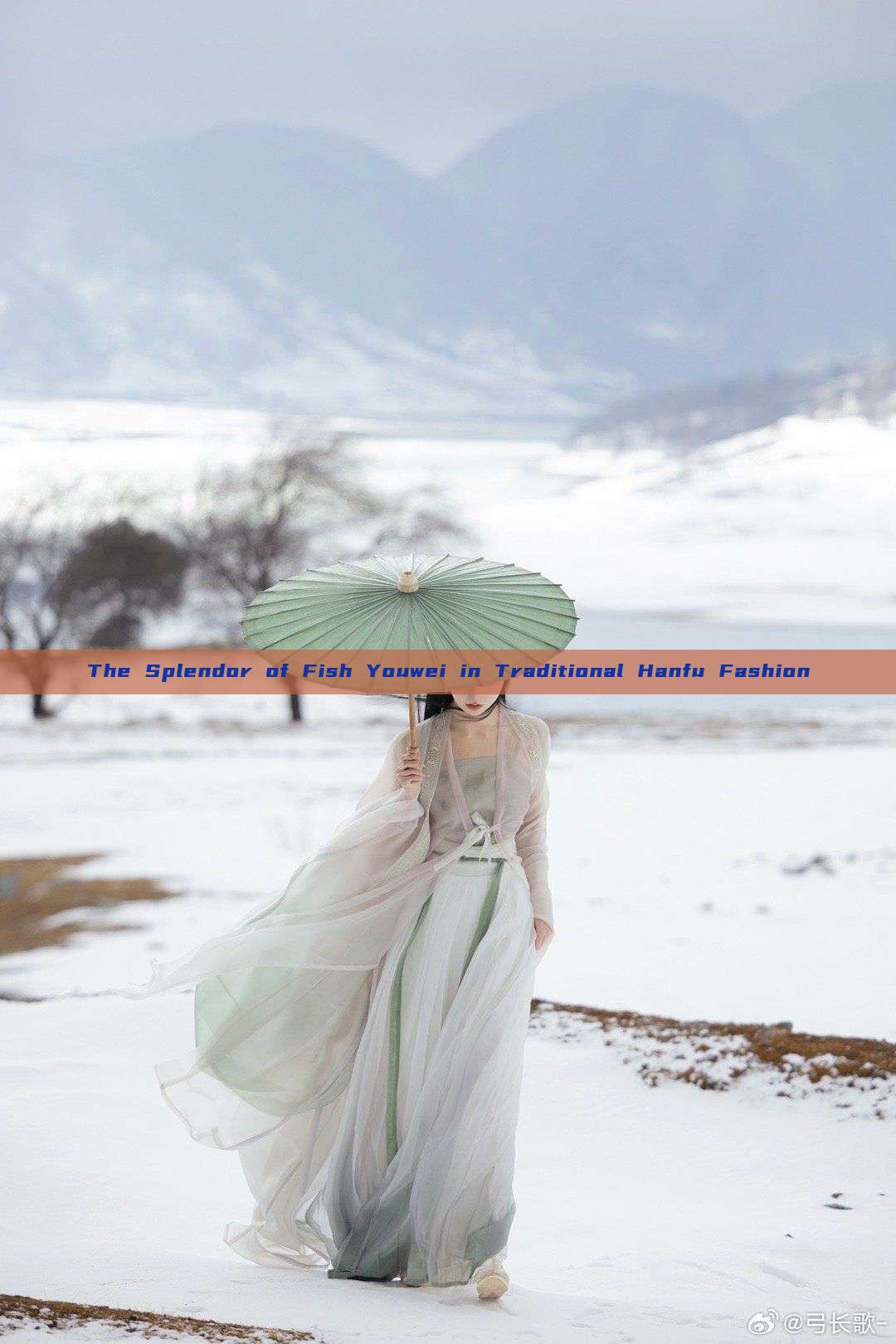 The Splendor of Fish Youwei in Traditional Hanfu Fashion The Splendor of Fish Youwei in Traditional Hanfu Fashion
