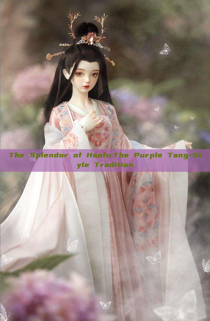 The Splendor of Hanfu:The Purple Tang-Style Tradition The Splendor of Hanfu:The Purple Tang-Style Tradition