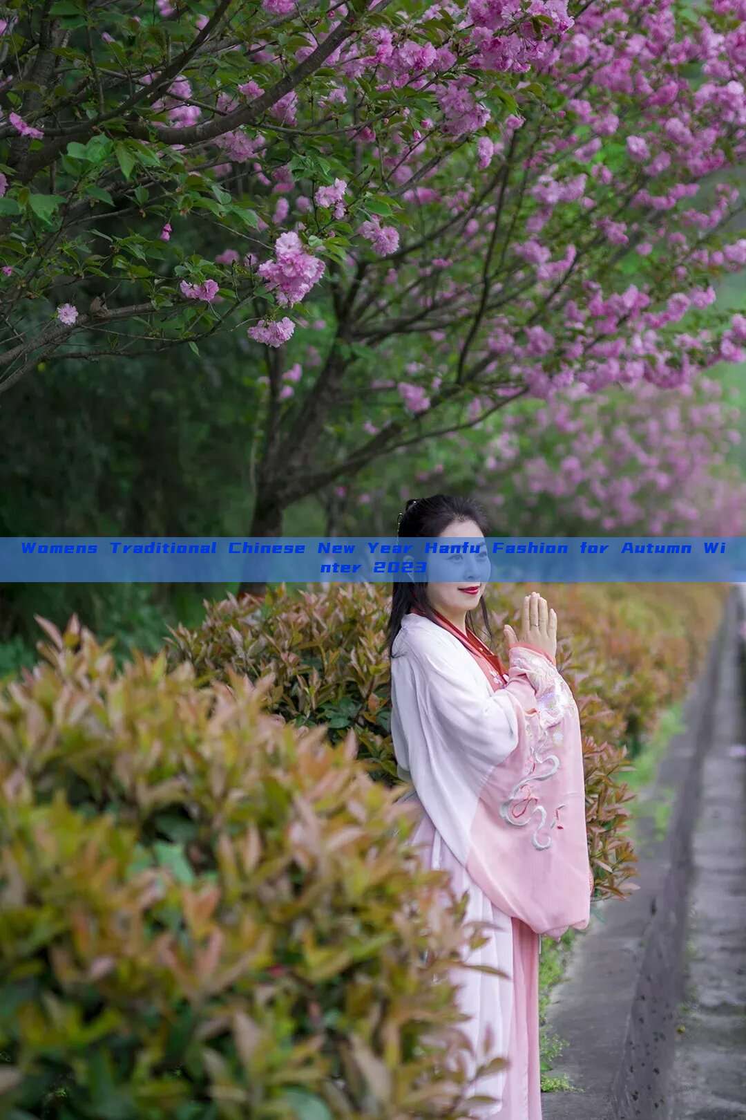 Womens Traditional Chinese New Year Hanfu Fashion for Autumn Winter 2023