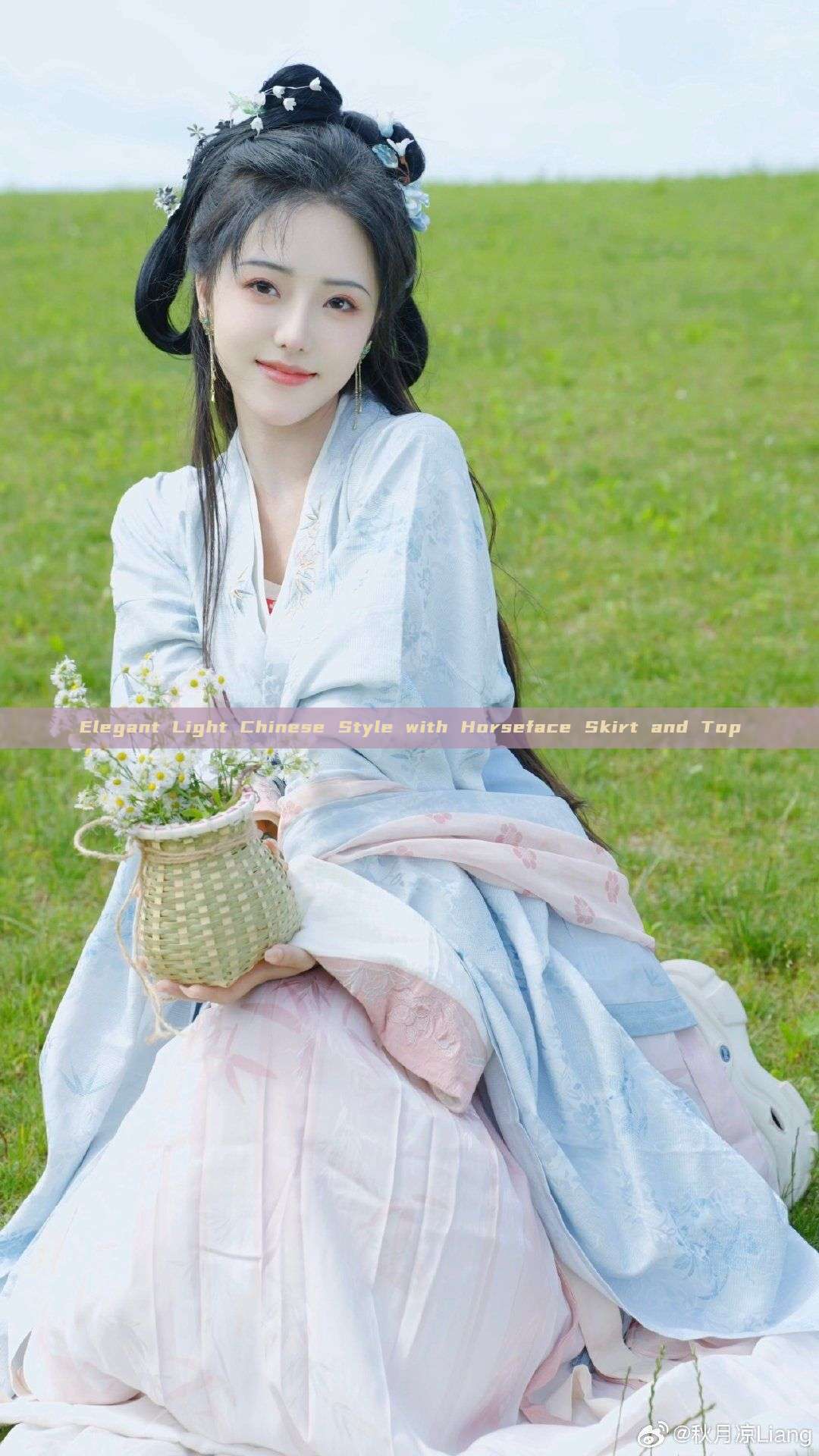 Elegant Light Chinese Style with Horseface Skirt and Top Elegant Light Chinese Style with Horseface Skirt and Top