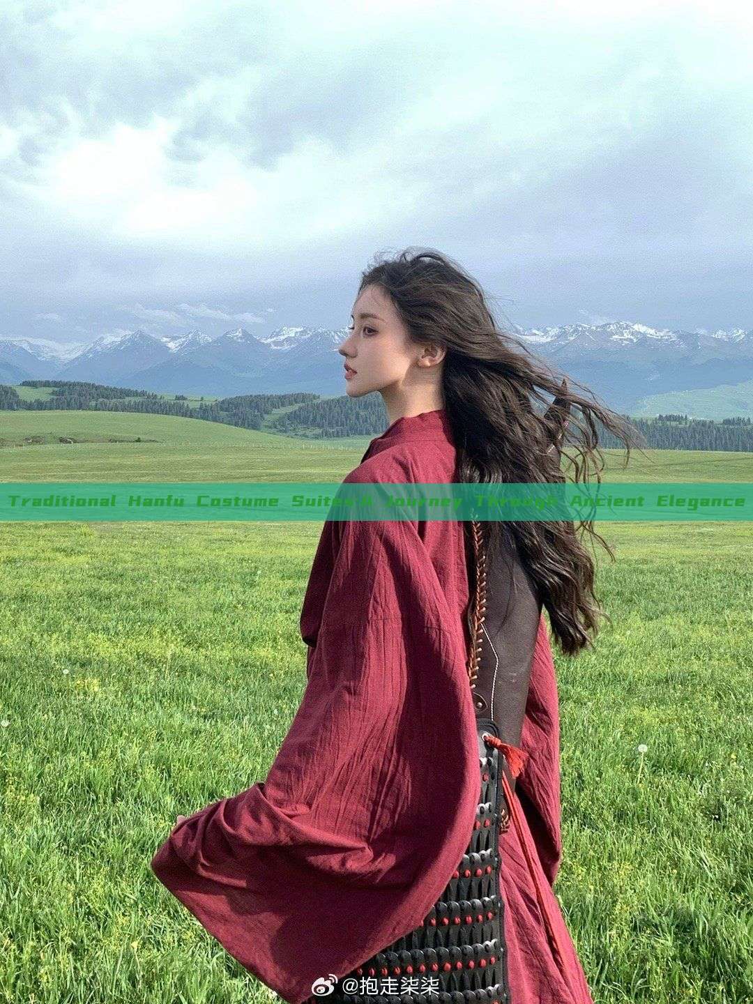 Traditional Hanfu Costume Suites:A Journey Through Ancient Elegance