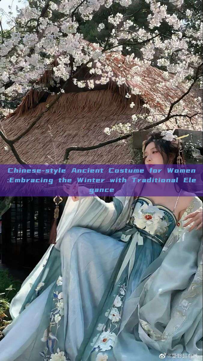 Chinese-style Ancient Costume for Women:Embracing the Winter with Traditional Elegance Chinese-style Ancient Costume for Women:Embracing the Winter with Traditional Elegance