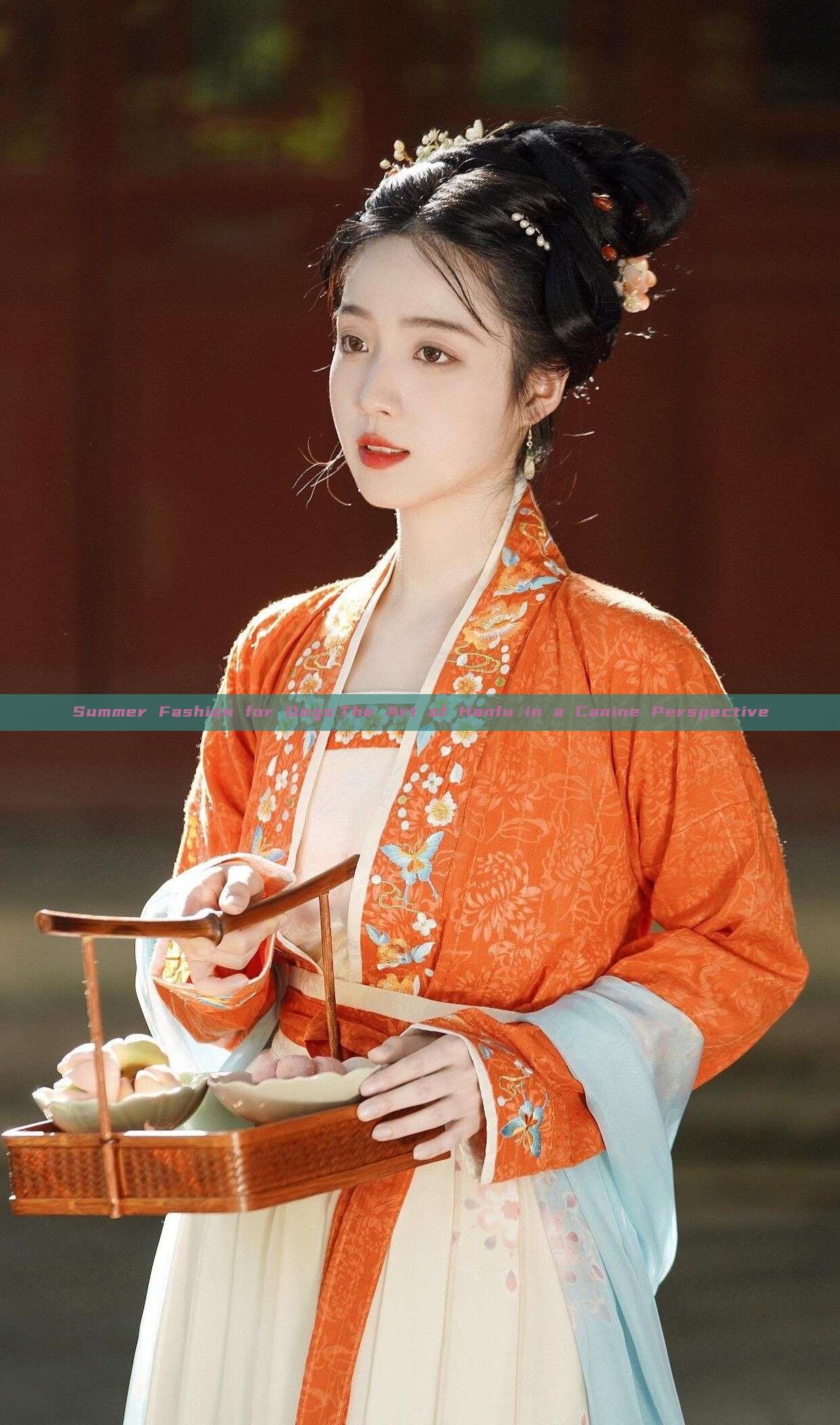 Summer Fashion for Dogs:The Art of Hanfu in a Canine Perspective Summer Fashion for Dogs:The Art of Hanfu in a Canine Perspective