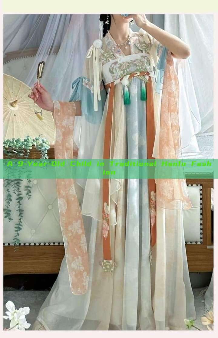 A 9-Year-Old Child in Traditional Hanfu Fashion A 9-Year-Old Child in Traditional Hanfu Fashion