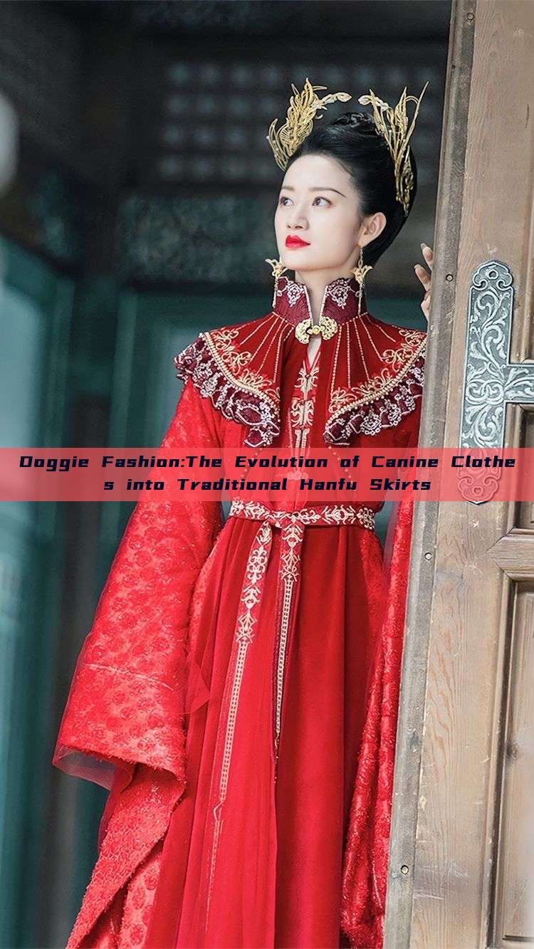 Doggie Fashion:The Evolution of Canine Clothes into Traditional Hanfu Skirts Doggie Fashion:The Evolution of Canine Clothes into Traditional Hanfu Skirts
