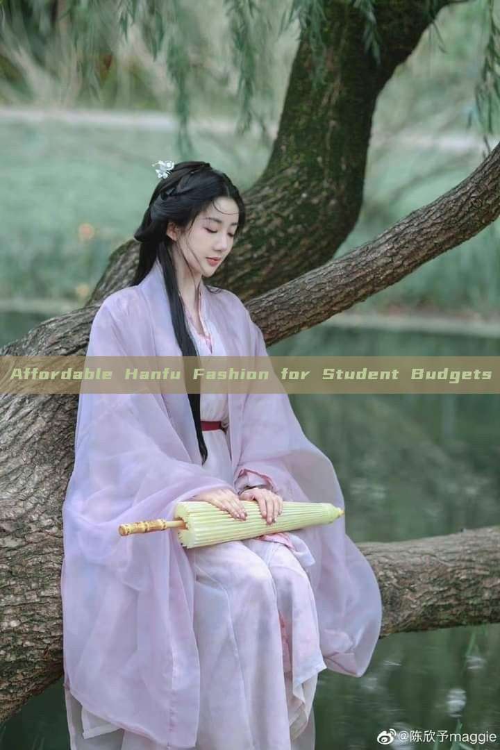 Affordable Hanfu Fashion for Student Budgets Affordable Hanfu Fashion for Student Budgets
