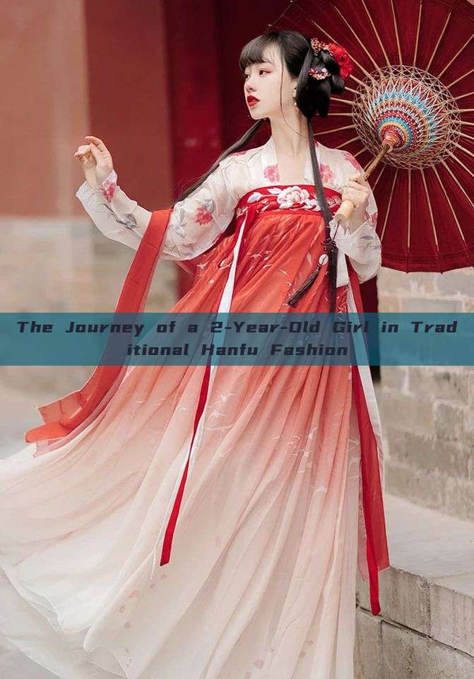 The Journey of a 2-Year-Old Girl in Traditional Hanfu Fashion The Journey of a 2-Year-Old Girl in Traditional Hanfu Fashion