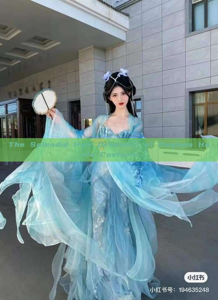 The Splendid Hair Ornament of Daqiaos Hanfu Costume The Splendid Hair Ornament of Daqiaos Hanfu Costume
