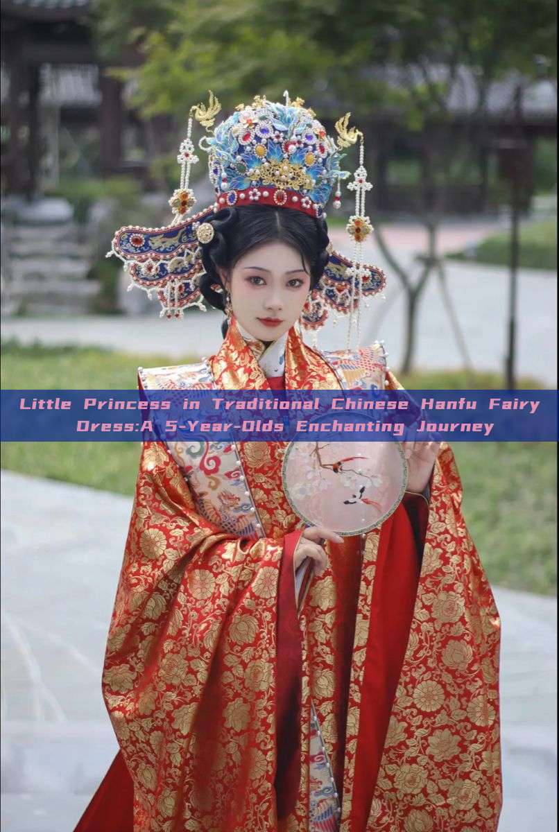Little Princess in Traditional Chinese Hanfu Fairy Dress:A 5-Year-Olds Enchanting Journey Little Princess in Traditional Chinese Hanfu Fairy Dress:A 5-Year-Olds Enchanting Journey
