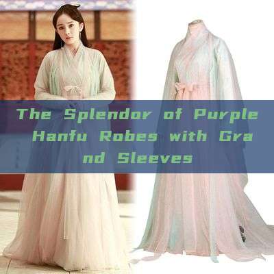 The Splendor of Purple Hanfu Robes with Grand Sleeves The Splendor of Purple Hanfu Robes with Grand Sleeves