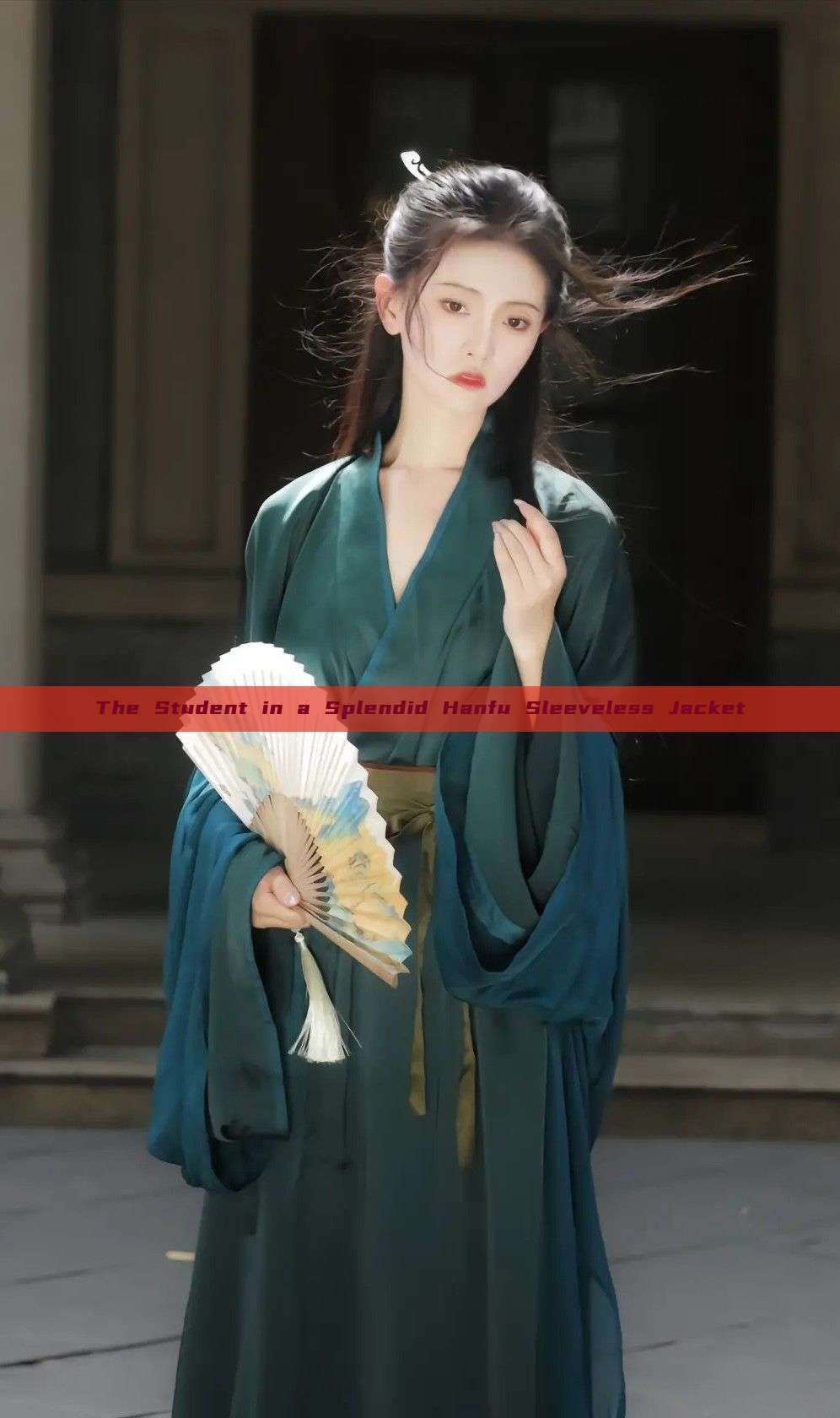 The Student in a Splendid Hanfu Sleeveless Jacket The Student in a Splendid Hanfu Sleeveless Jacket