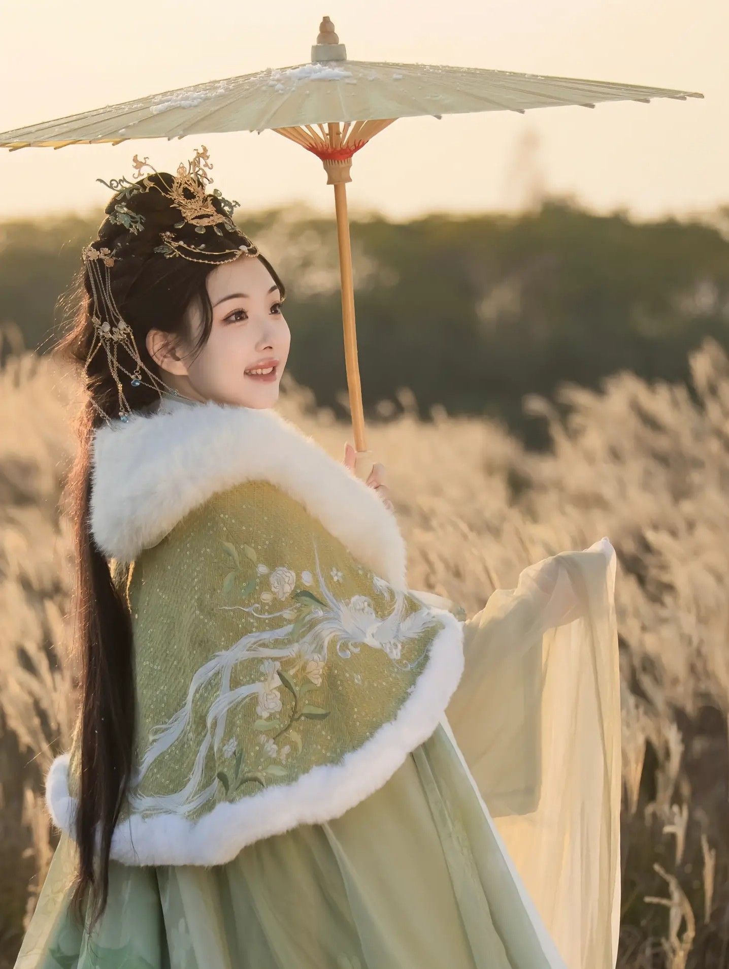 The Enchantment of Traditional Chinese Dress for a 2-Year-Old Girl