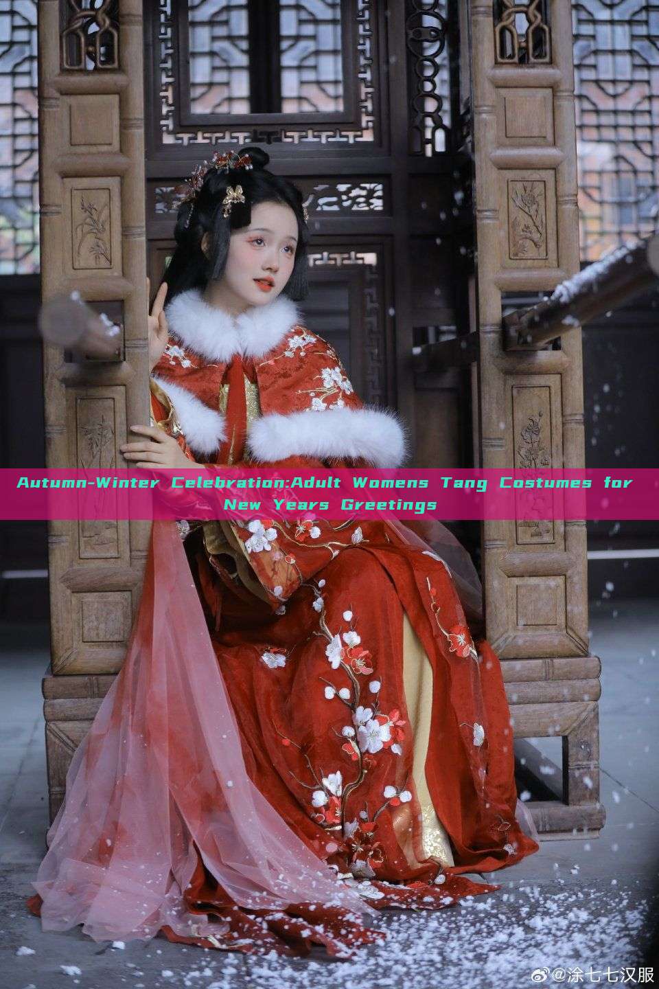 Autumn-Winter Celebration:Adult Womens Tang Costumes for New Years Greetings Autumn-Winter Celebration:Adult Womens Tang Costumes for New Years Greetings