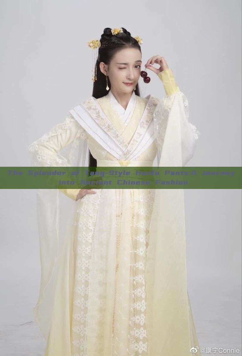 The Splendor of Tang-Style Hanfu Pants:A Journey into Ancient Chinese Fashion The Splendor of Tang-Style Hanfu Pants:A Journey into Ancient Chinese Fashion