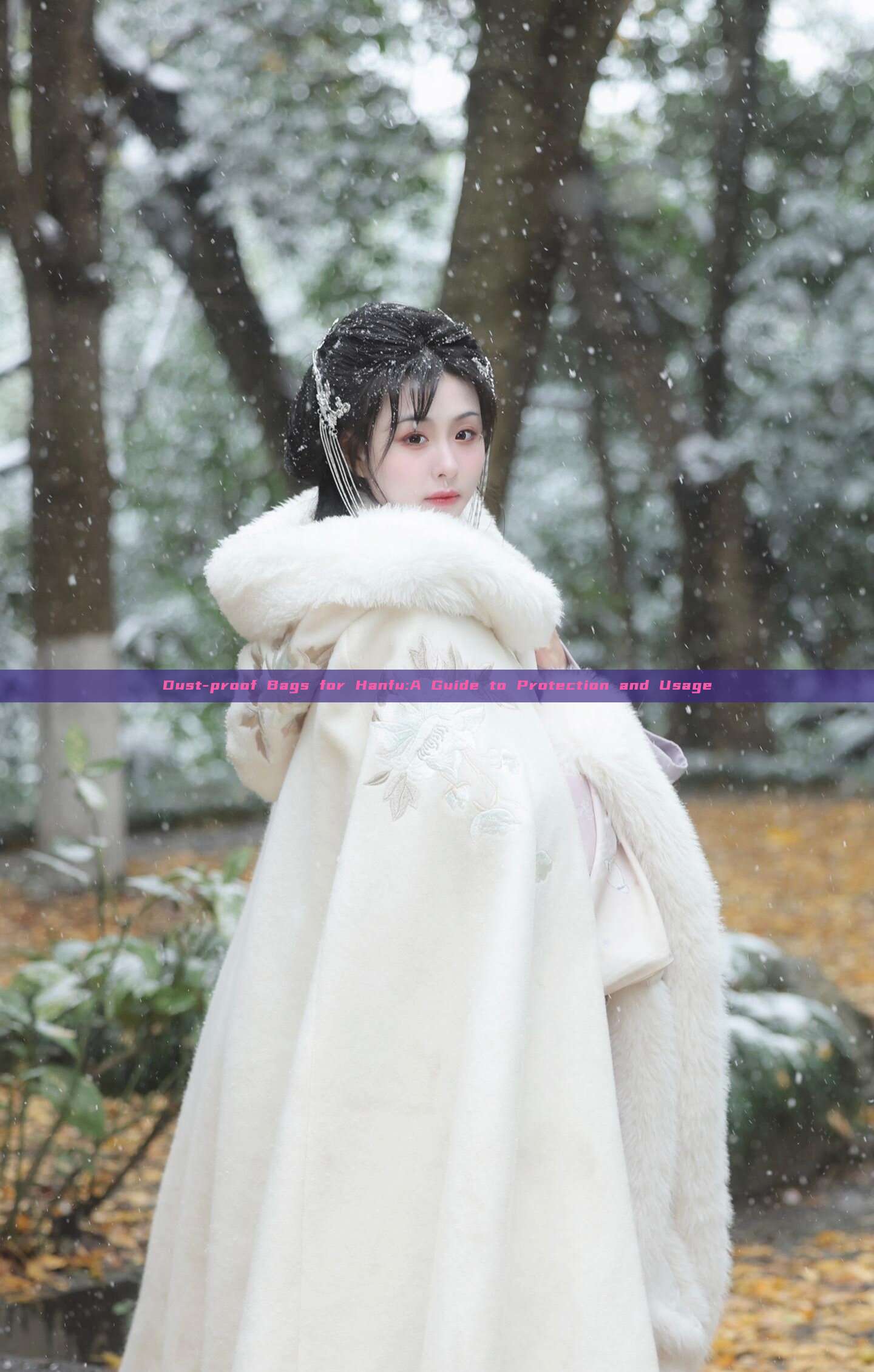 Dust-proof Bags for Hanfu:A Guide to Protection and Usage Dust-proof Bags for Hanfu:A Guide to Protection and Usage