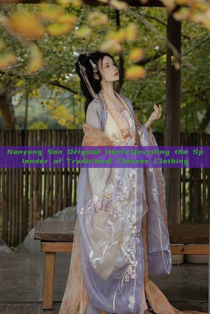 Nanyang Son Original Hanfu:Unveiling the Splendor of Traditional Chinese Clothing Nanyang Son Original Hanfu:Unveiling the Splendor of Traditional Chinese Clothing
