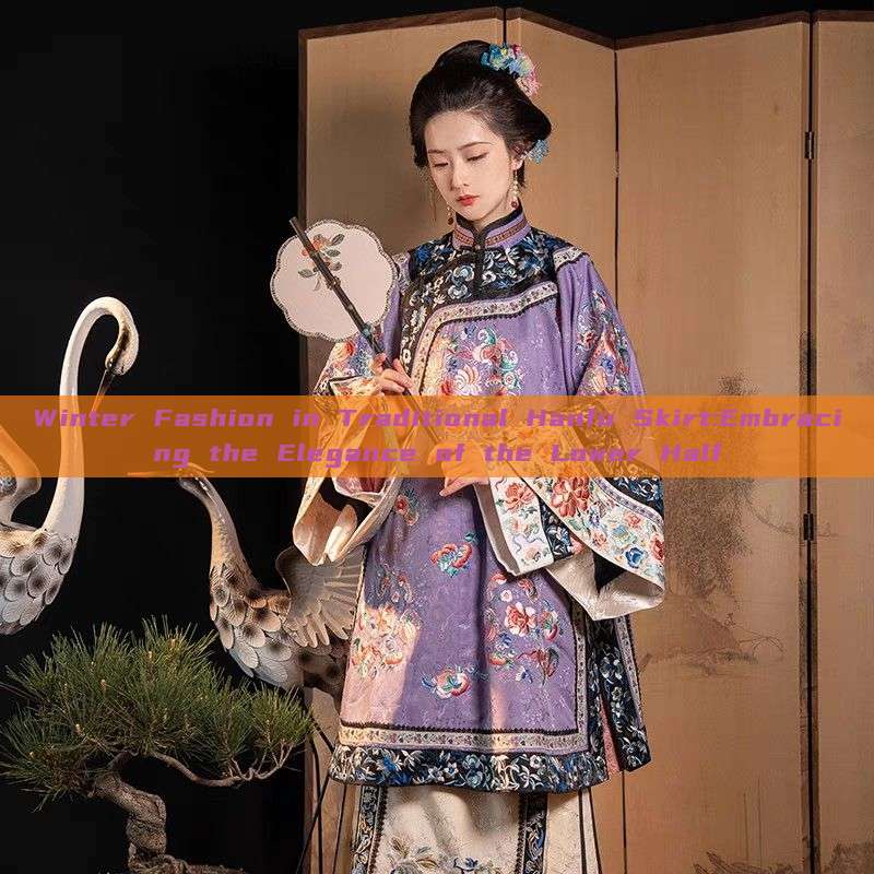 Winter Fashion in Traditional Hanfu Skirt:Embracing the Elegance of the Lower Half Winter Fashion in Traditional Hanfu Skirt:Embracing the Elegance of the Lower Half