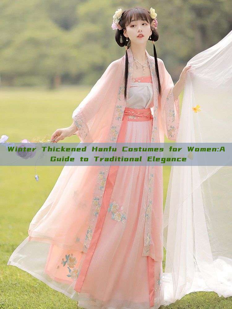 Winter Thickened Hanfu Costumes for Women:A Guide to Traditional Elegance Winter Thickened Hanfu Costumes for Women:A Guide to Traditional Elegance