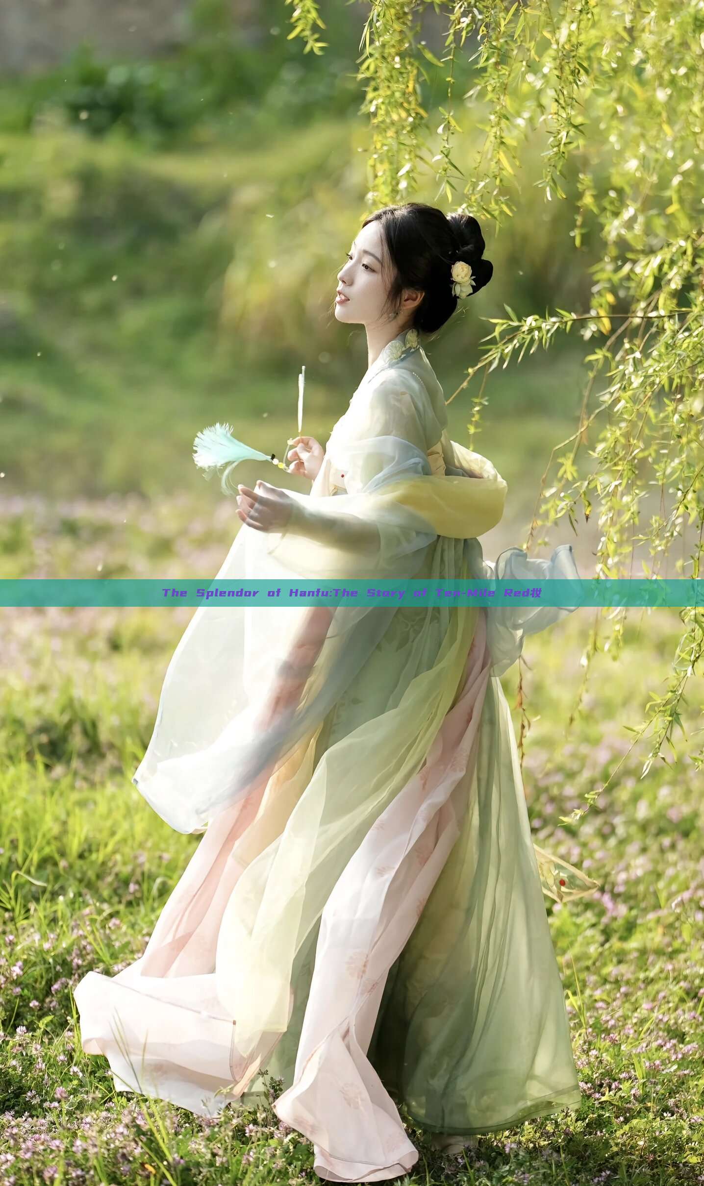 The Splendor of Hanfu:The Story of Ten-Mile Red妆 The Splendor of Hanfu:The Story of Ten-Mile Red妆